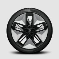 20" Pro